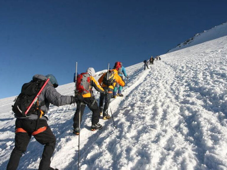 Kilimanjaro Day trip