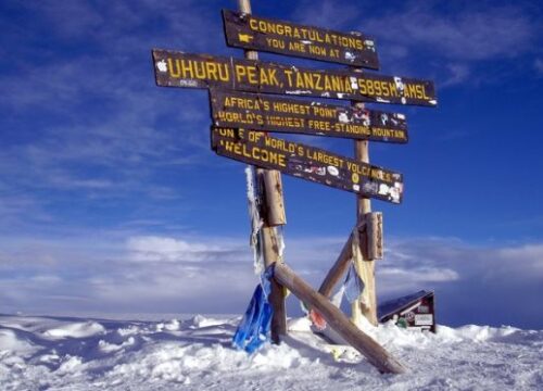 7 Day Kilimanjaro Trekking Via Machame