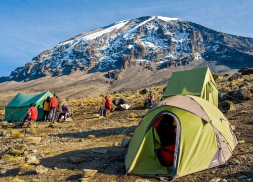 8 Days Kilimanjaro Lemosho Route