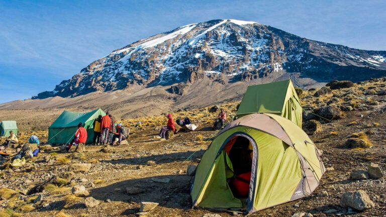11 Days Kilimanjaro Northern Circuit Route in 8 Days
