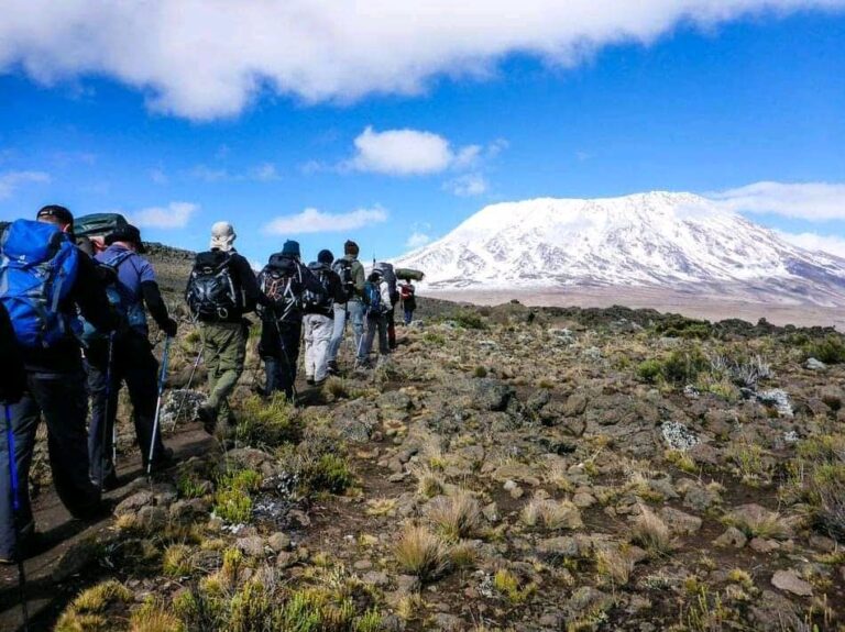 8 Days Kilimanjaro Lemosho Route