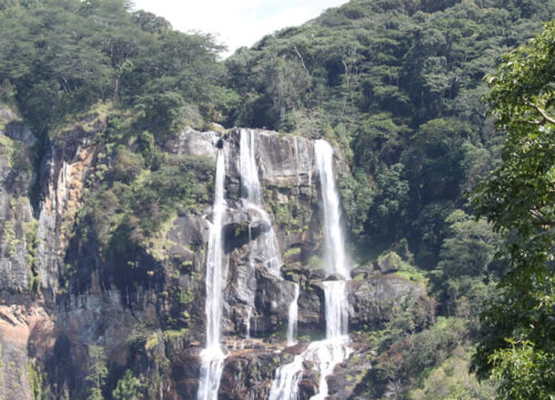 Udzugwa National Park